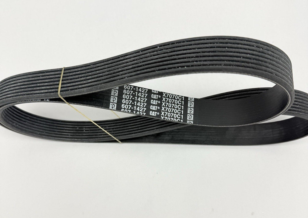 607-1427 Serpentine Belt, Fits Cat