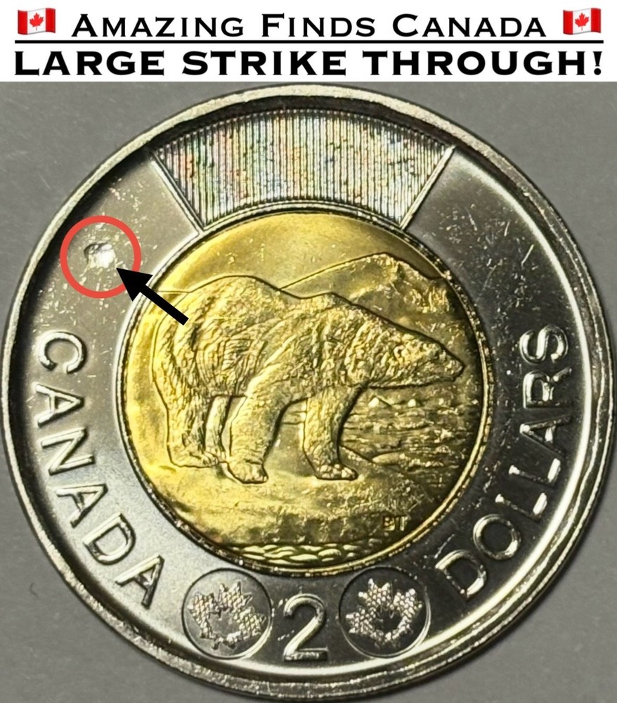 ERROR 2025 Canada $2 Dollar Toonie! STRIKE THROUGH ERROR! UNC!