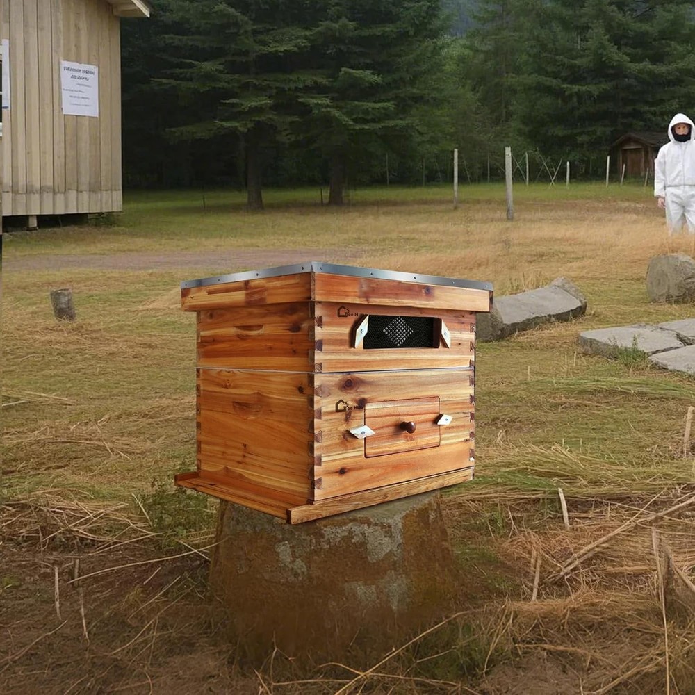 Bee Hive Langstroth Kit 1 Deep & 1 Medium Box 20 Frames with Acrylic Windows