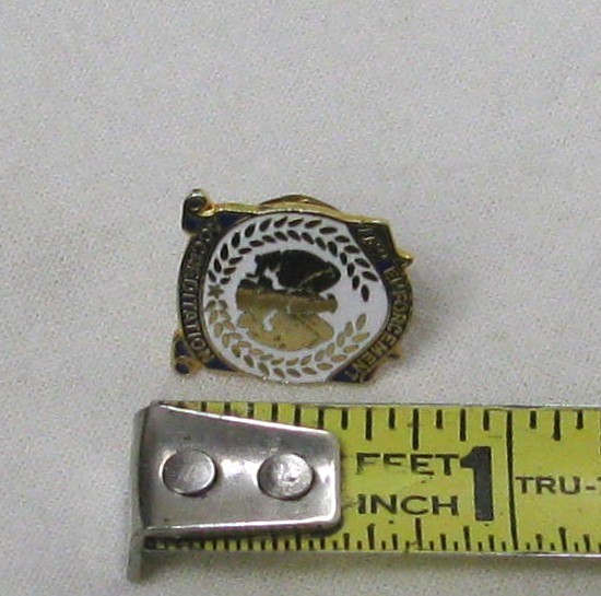 Lapel Pin - LAW ENFORCEMENT ACCREDITATION⭐