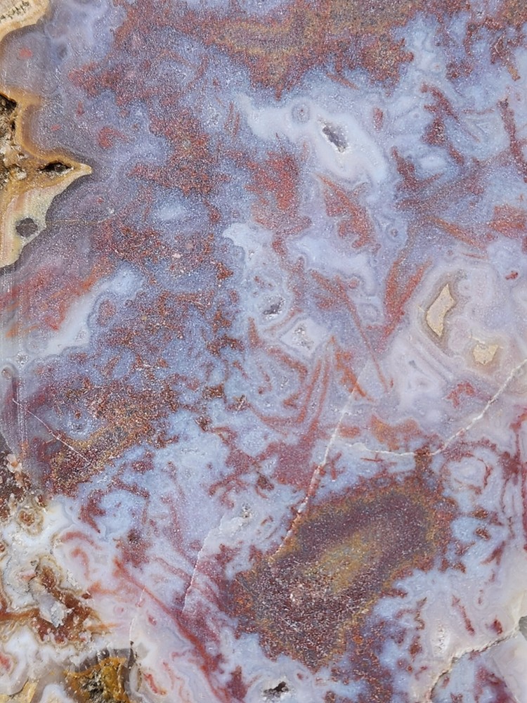 Moss agate Maury Mountain