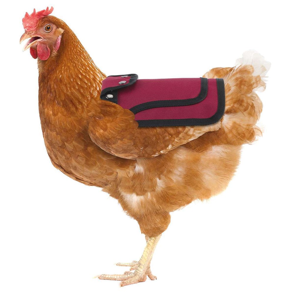 Chicken Saddle Apron Hen Back for Protection Backyard Poultry Protector