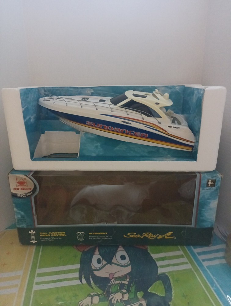2007 New Bright Sea Ray Sundancer (No Control)Tested Does Turn On.