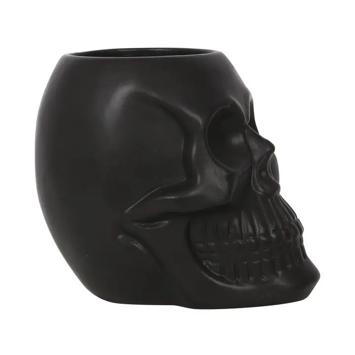 something different Black Skull Plant Pot Planter