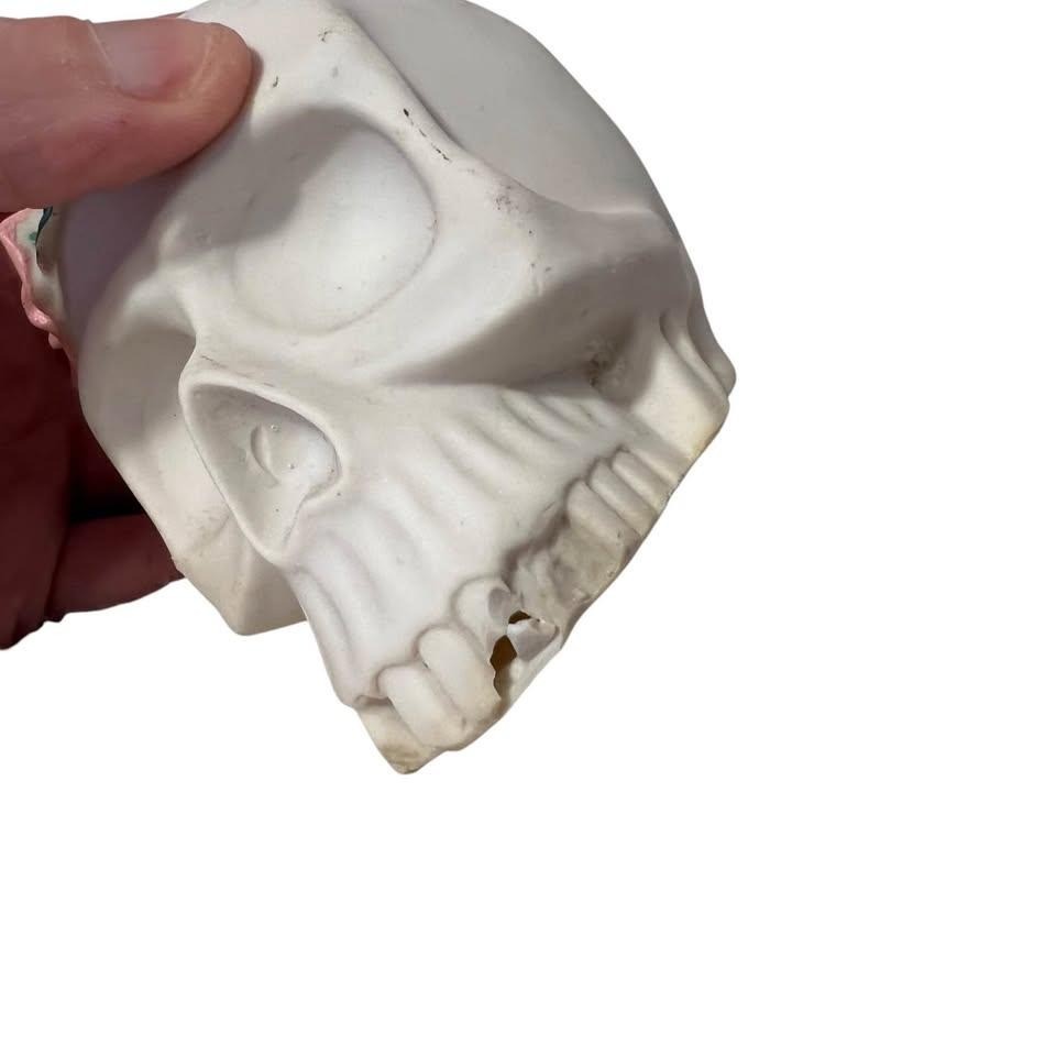 Halloween Decor 3 Fake Skulls Various Sizes FLAWS