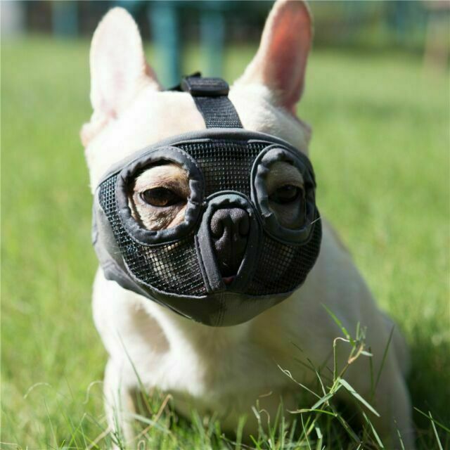 Short Snout Dog Adjustable Breathable Muzzles, Small - Grey (Eyehole)