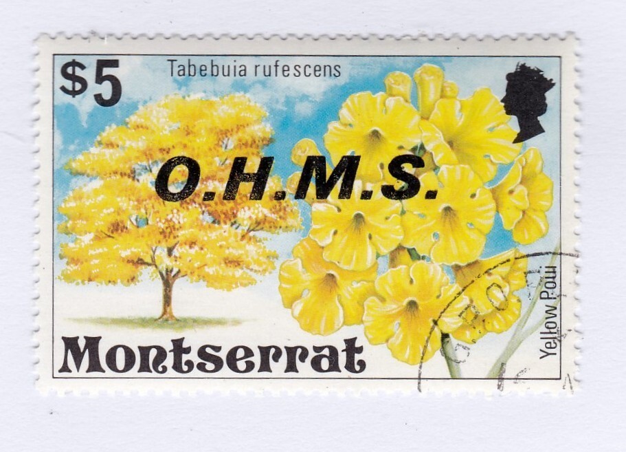 Montserrat        o18         used          Flowers