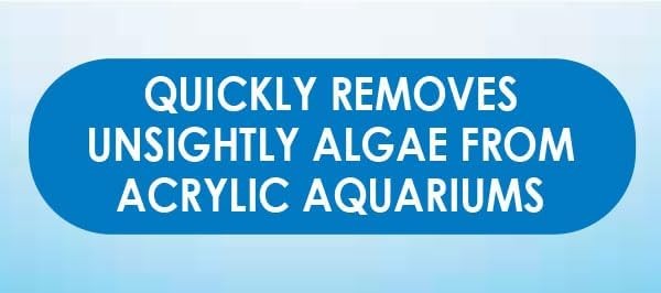 API Doc Wellfish's Hand Held Algae Pad for Acrylic Aquariums - 2 Pack