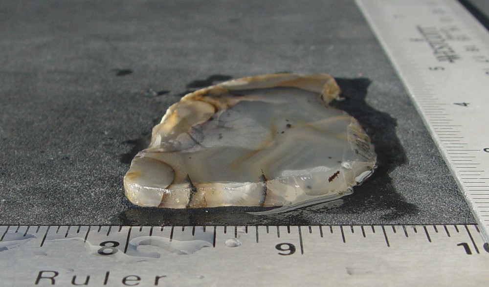Montana Agate Lapidary Slab T1282