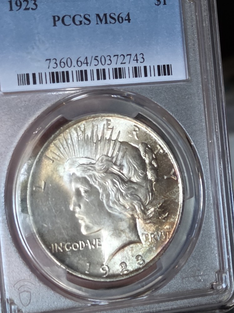 1924 $1 Peace Dollar PCGS MS64 Toned