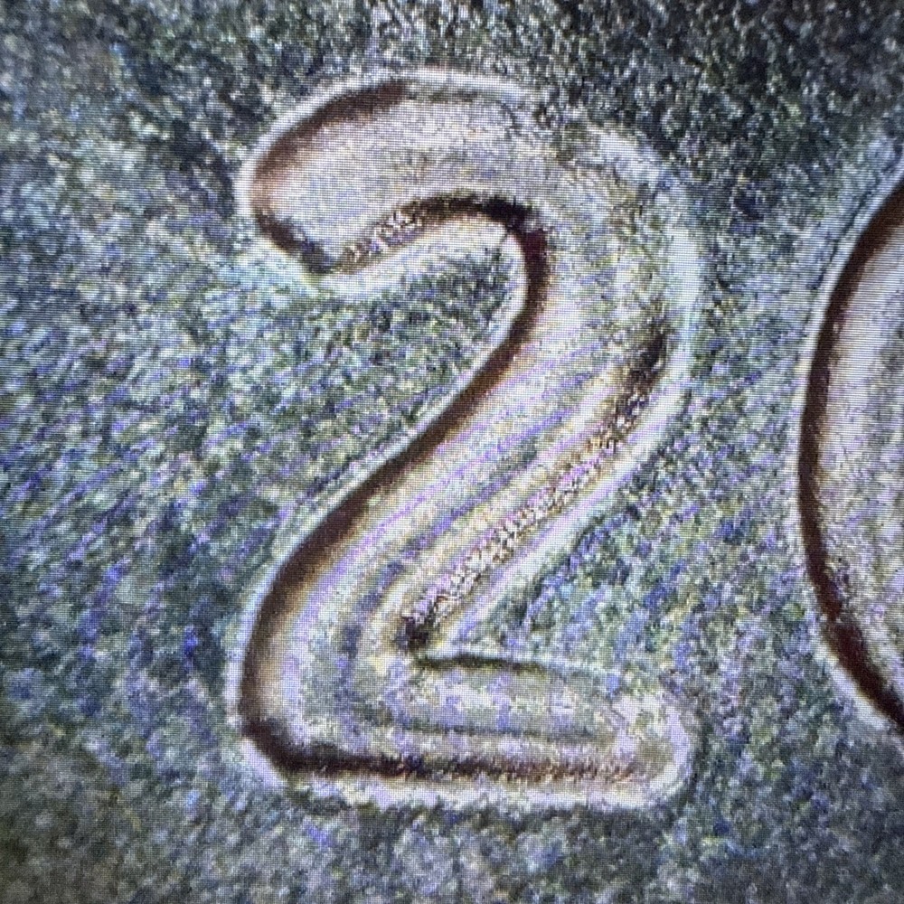 2011 P Lincoln Shield Cent UNC Coin Error DDO-001