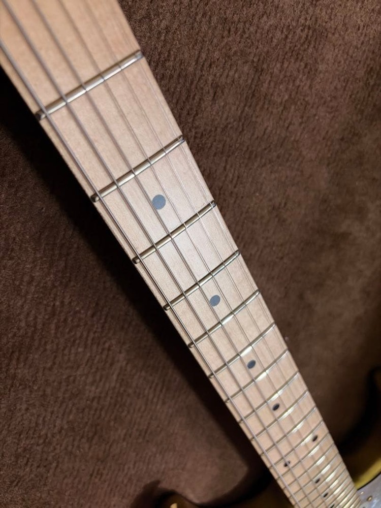 E-SNAPPER TO -Eclipse Gold- (Takayoshi Ohmura Model)