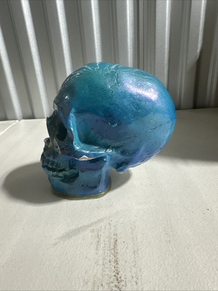 Porcelain skull decor