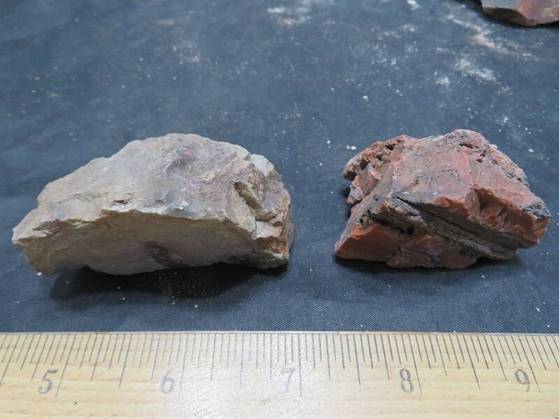 Petrified Wood 4 lbs & 11 ozs 15 Pieces