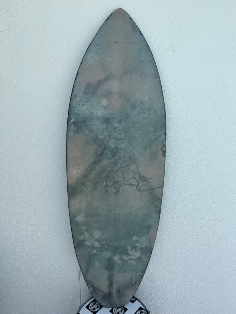 Finless Surfboard Wake Surf Skim Surf