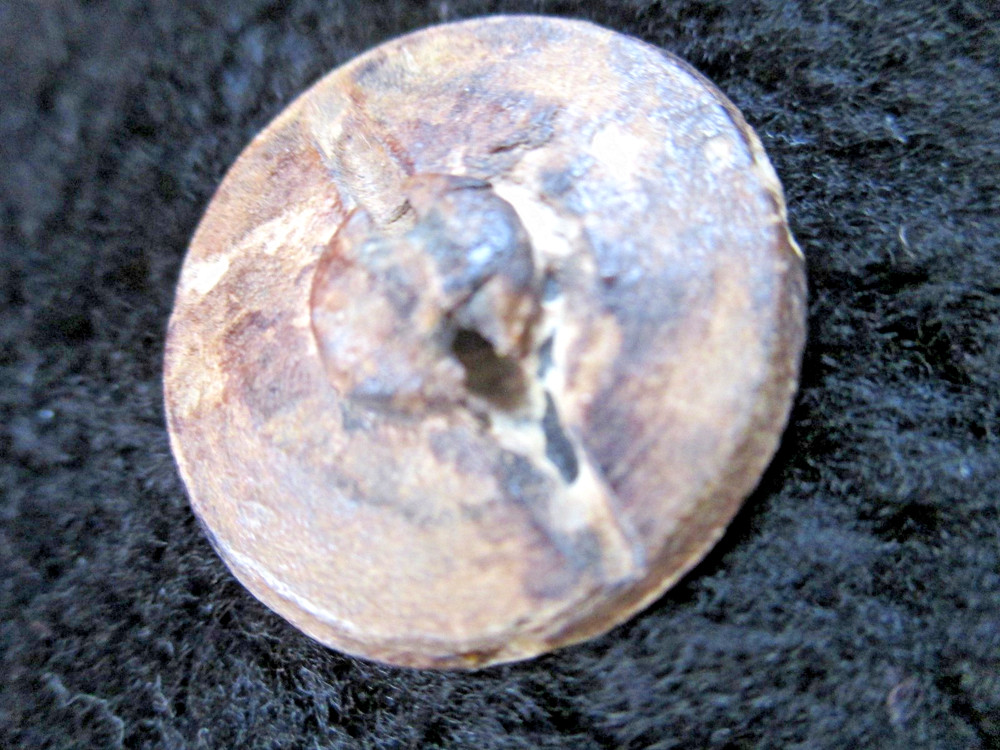 RARE - WW2 GERMAN 'KRIEGSMARINE' NAVY BUTTON --