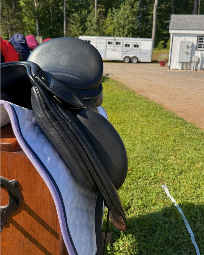Kingsley D7 Dressage Saddle