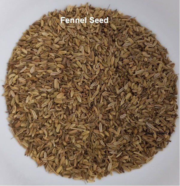 Fennel Seed 8oz - Magickal Properties - Protection, Healing, Purification