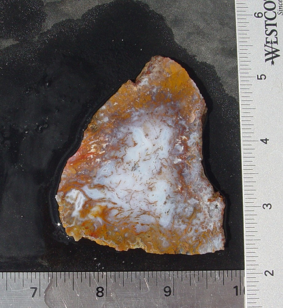 Gold Moss Agate Lapidary Slab 1486