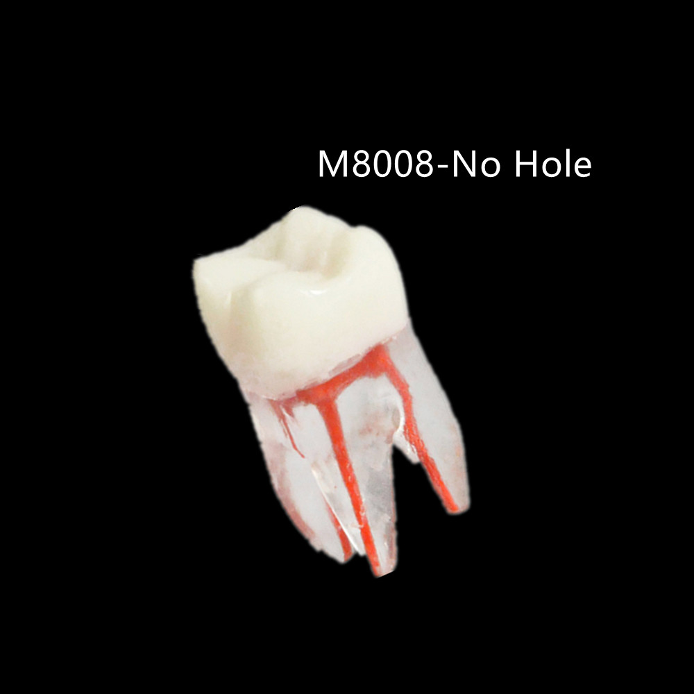 Dental Resin Training Study Endo Root Canal Teeth Model Practice Block RCT Pulp