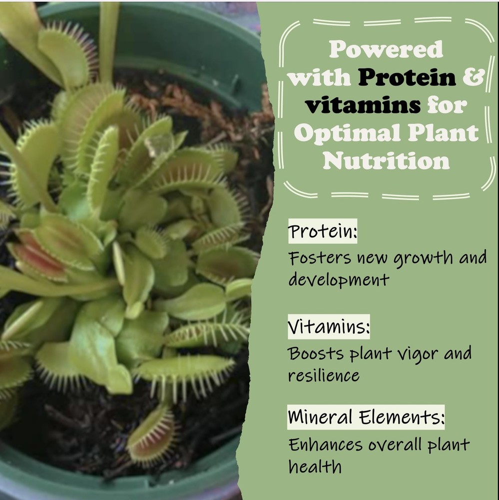 Venus Flytrap Food, Solid Gel Carnivorous Plant Food, 2.5OZ. Designed for Ve...