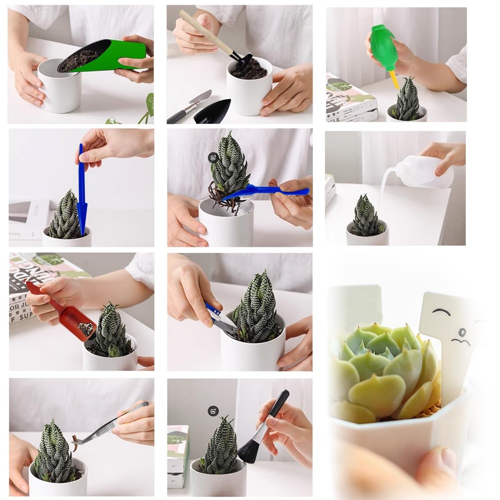 GXXMEI 20PCS/Set Succulent Tools Set, Mini Garden Tool Multicolor