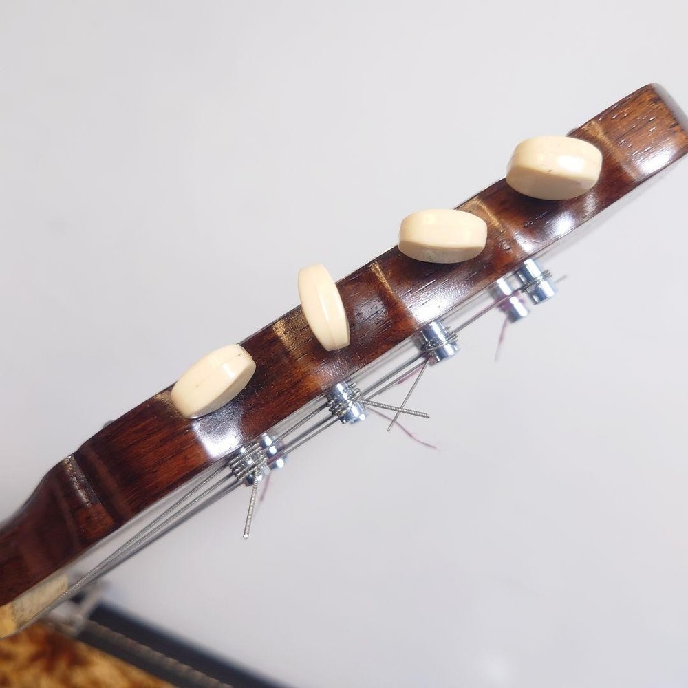 1975 Iwasaki Mandolin with hard case Ohno