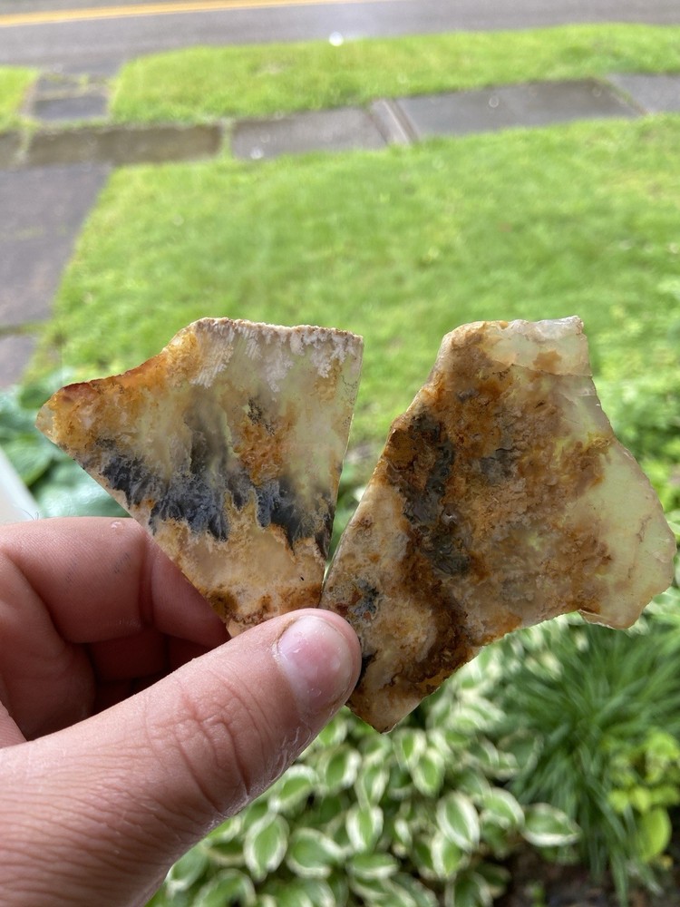 Graveyard Plume Agate 2 Pieces 70 Grams