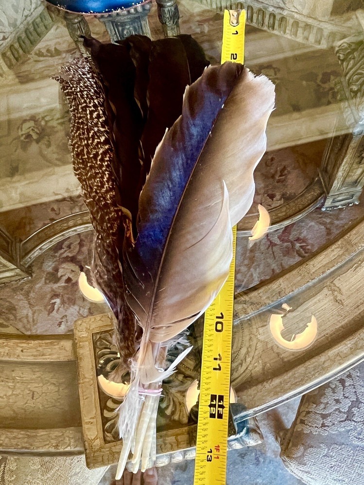 Peacock Inner Feathers Gold Brown 7 Feathers/Bunch Height 12.5” Width 3”