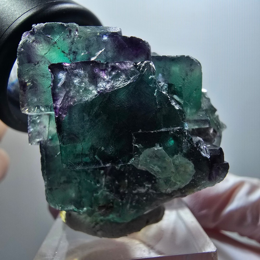 Phantom Fluorite Cube Step, tessellated, green purple Okorusu, Namibia