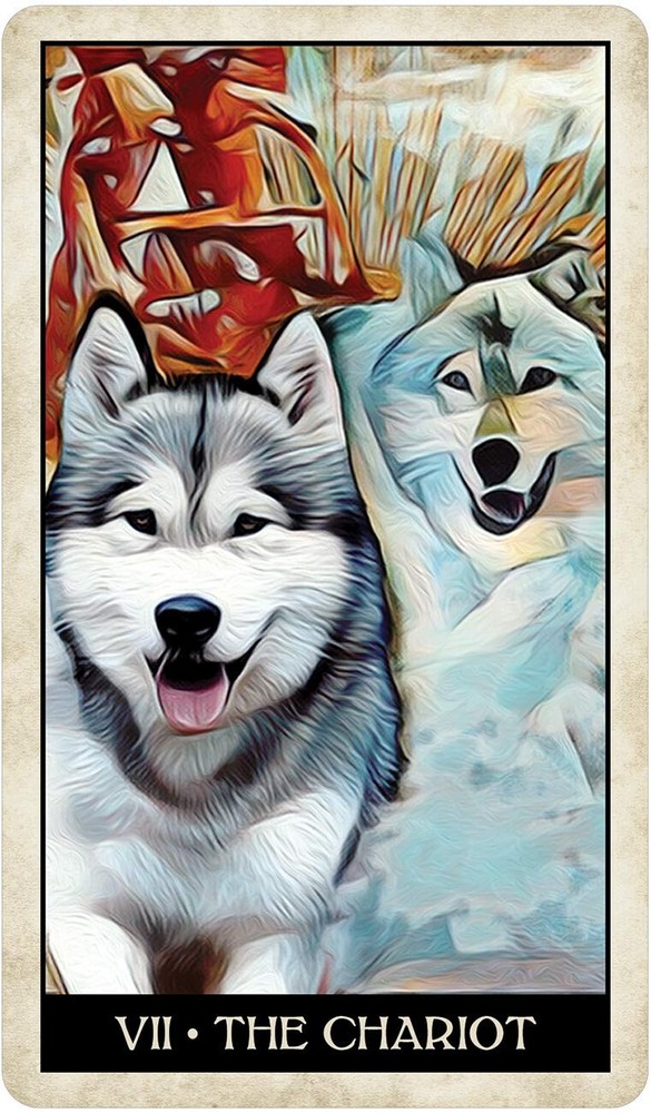 Wise Dog Tarot Card Deck!