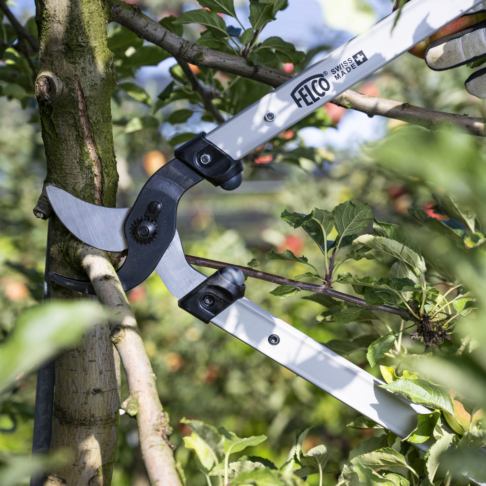 Felco 221-90 - 36in lopper