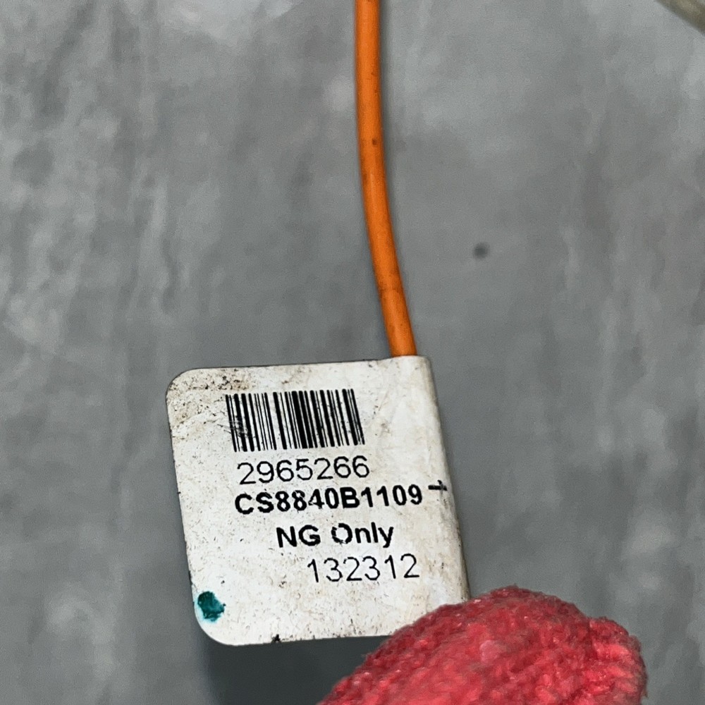 AO Smith 18 Inch Burner Assembly 321165-000 CS8840B1109