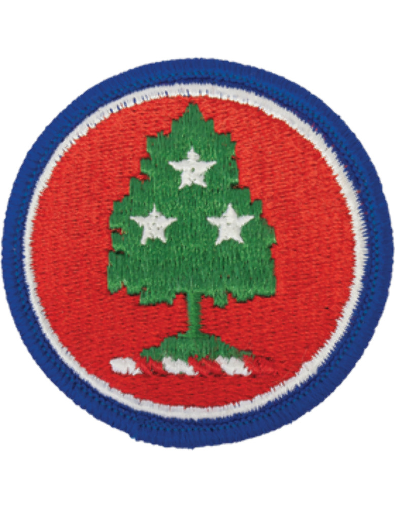 Tennessee National Guard Patch