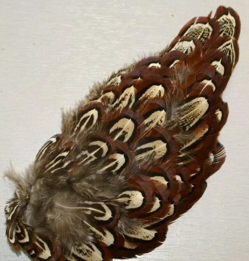 Pheasant Shoulder Patches - Chevron Hackles Fly Tying Materials. Natural