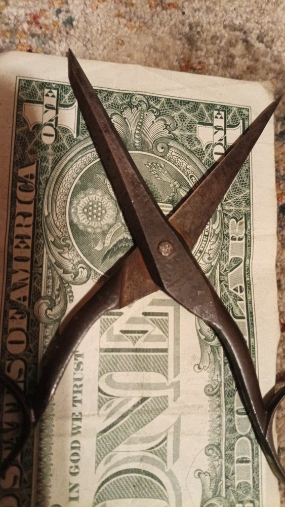 Badger's Elite Sewing Shears