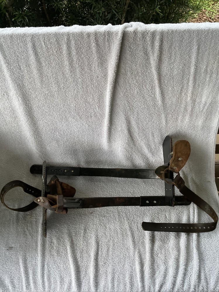 Buckingham Tree Pole Climbing Spike Gaffs (5a)