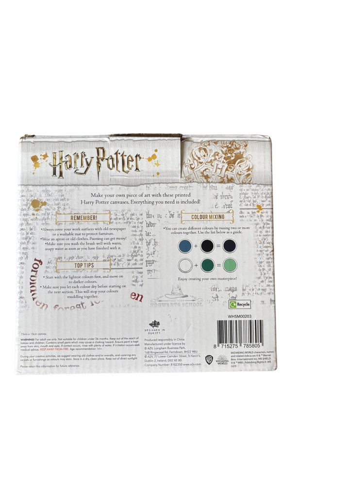 Harry Potter - Paint Your Own Canvas
