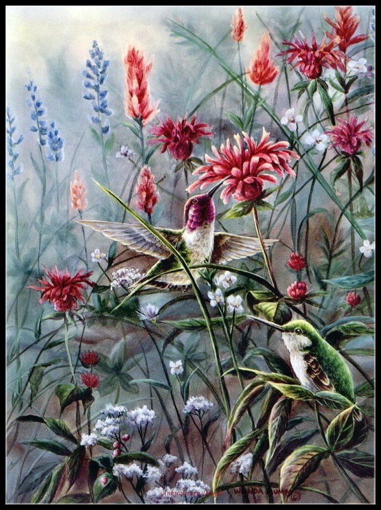 Monardia 2 - DIY Chart Counted Cross Stitch Patterns Needlework 14 ct Aida