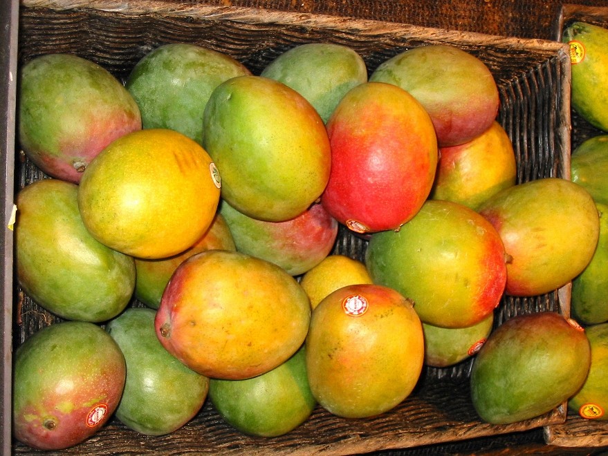 4 oz Candle Scent Oil-MANGO
