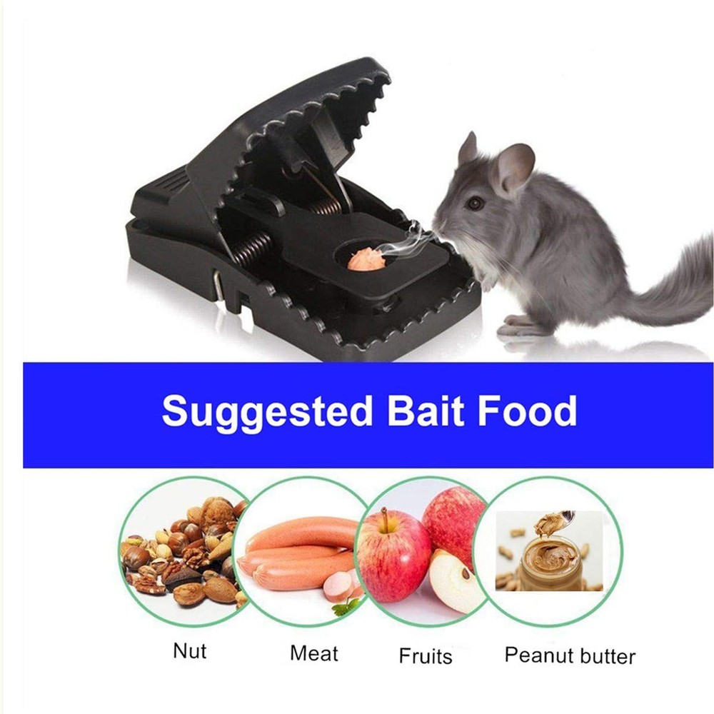 Mouse Trap Mice Traps That Work Best Snap Traps for Small Mice and Mouse Outd...