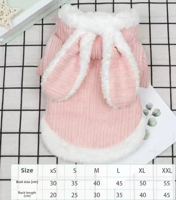 cat clothes