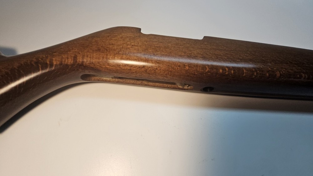 Traditions Buckhunter Pro In Line .50 Cal. Inline Muzzleloader Wood Stock (O)