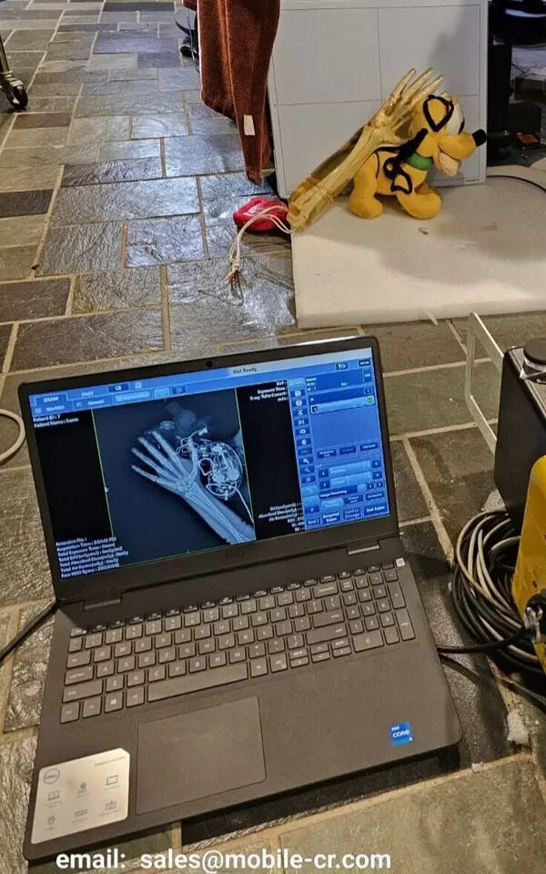 Equine Portable Veterinary DR panel