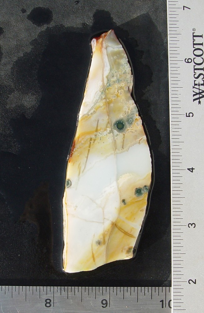 Ocean  Jasper    Lapidary Slab                    T936