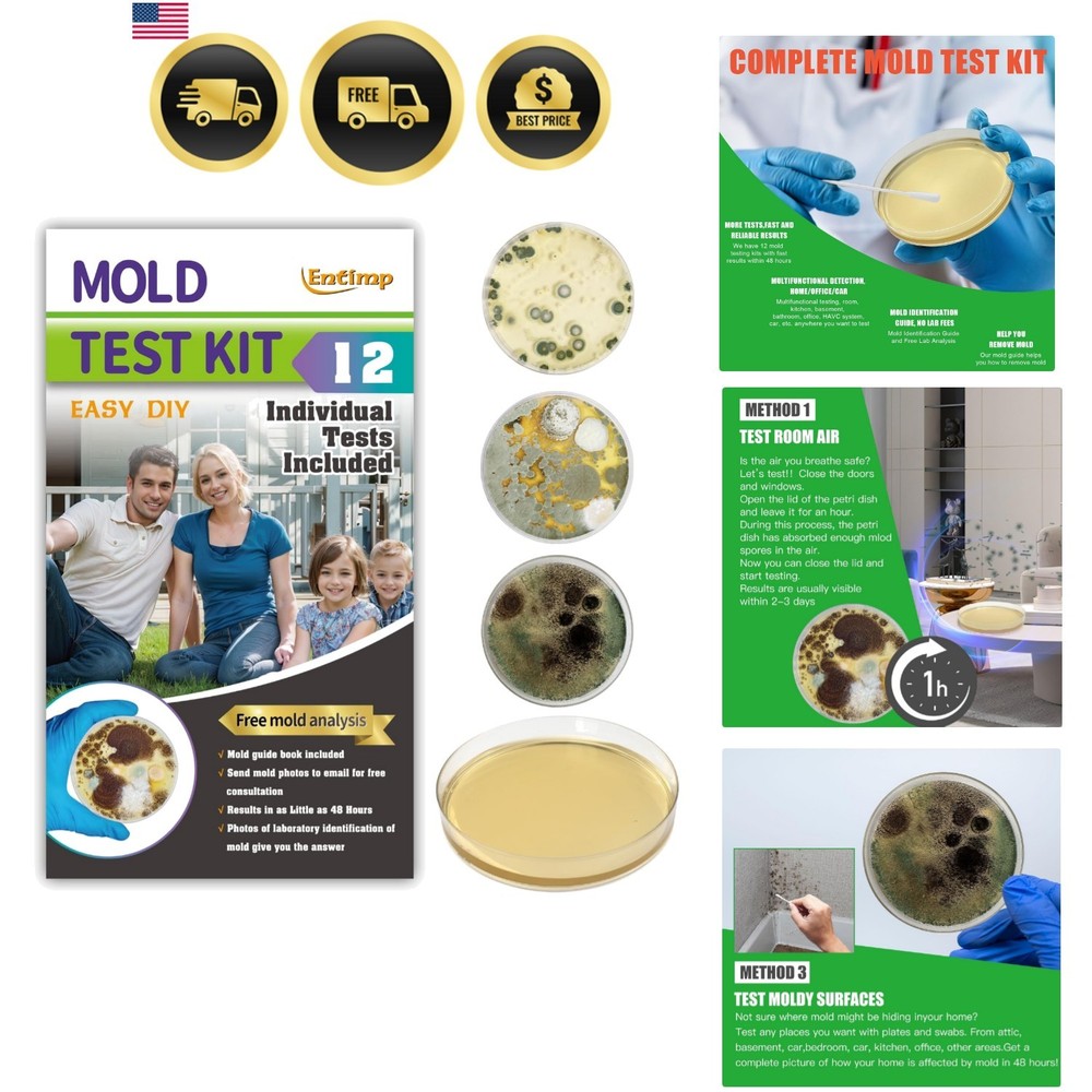 Mold  Kit for Home Within 12 Individual Tests,DIY Detector at Home, Surface M...