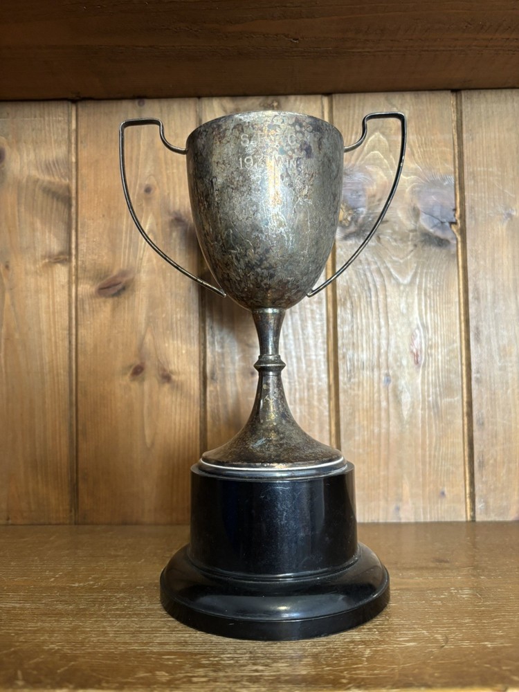 Medium vintage silver plate trophy, loving cup, trophies, trophy