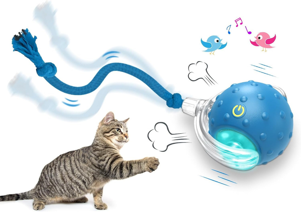 Interactive Cat Toys Ball for Indoor Cats Fast Rolling on