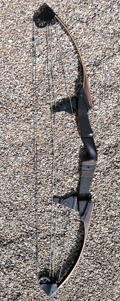 Vintage Bear Polar LTD 51" Compound Bow 39" String Length
