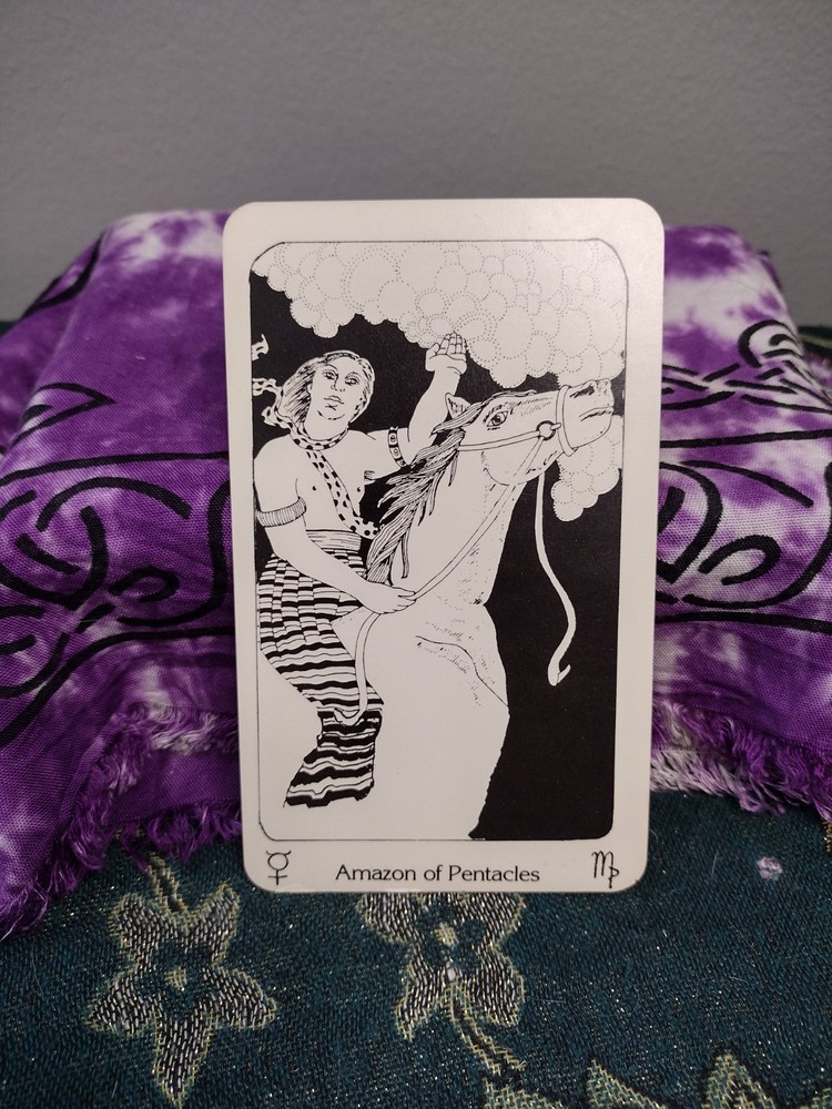 New Amazon Tarot 1984 LGBTQ+ Deck